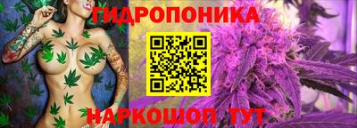 ГАЛЛЮЦИНОГЕННЫЕ ГРИБЫ Тара